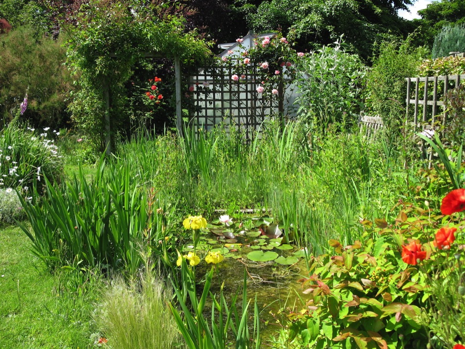 Felixstowe Community Nature Reserve